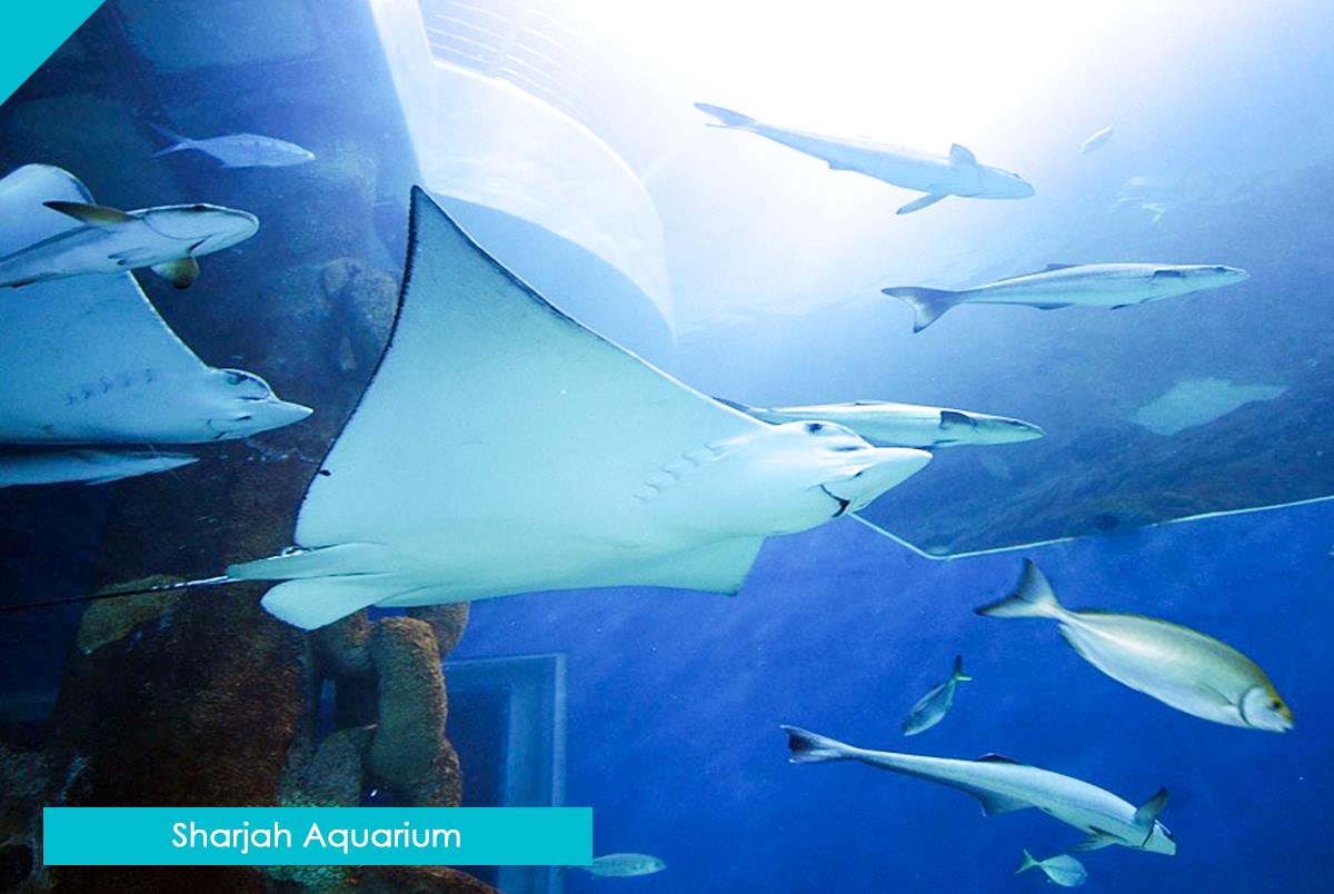 Sharjah Aquarium