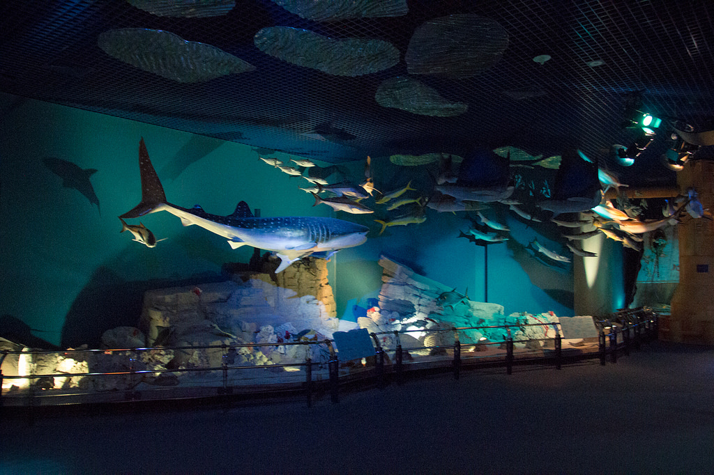 Sharjah Natural History Museum