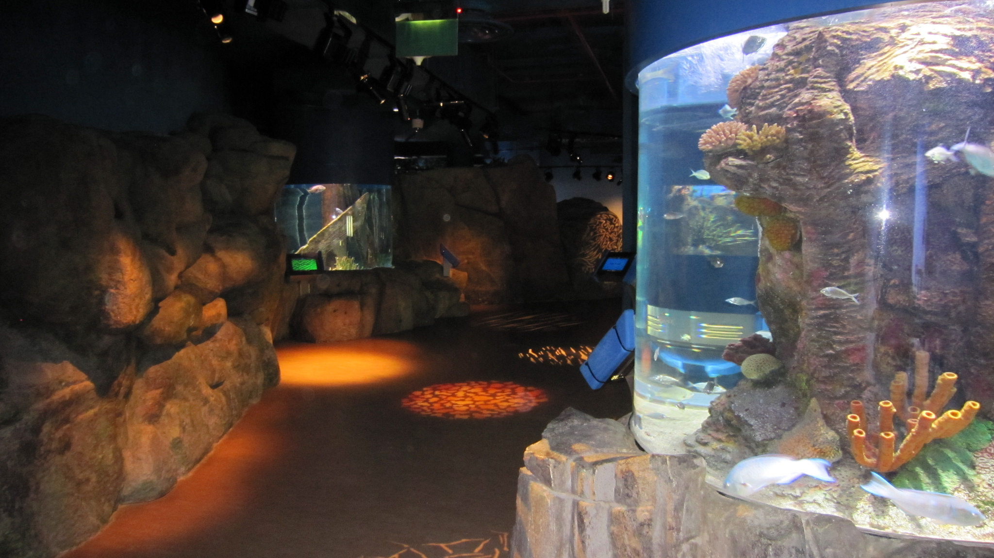 Sharjah Aquarium