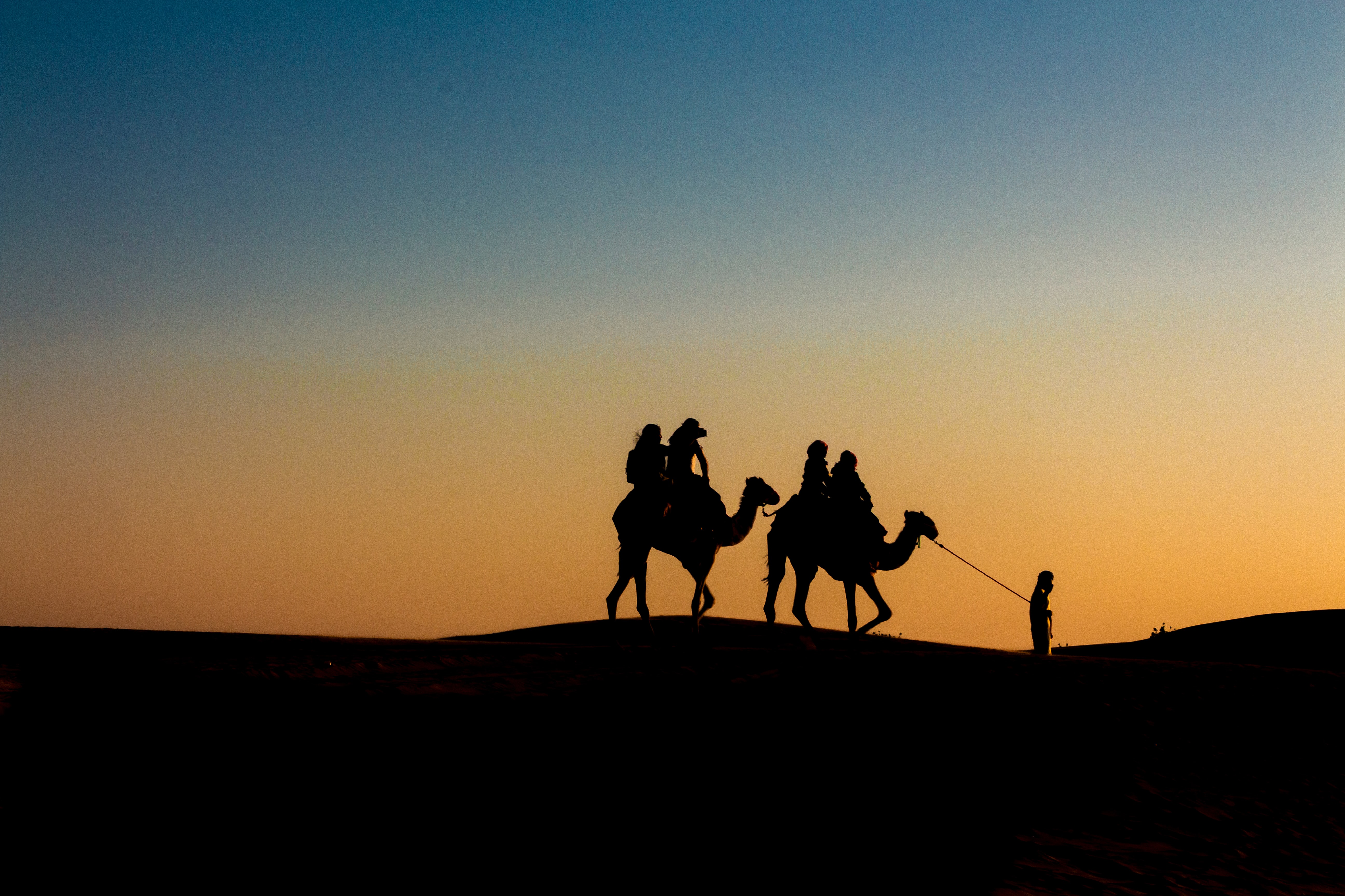 Camel ride on a desert
