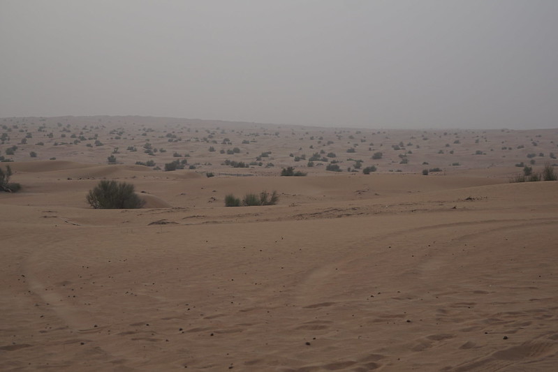 Desert Safari UAE