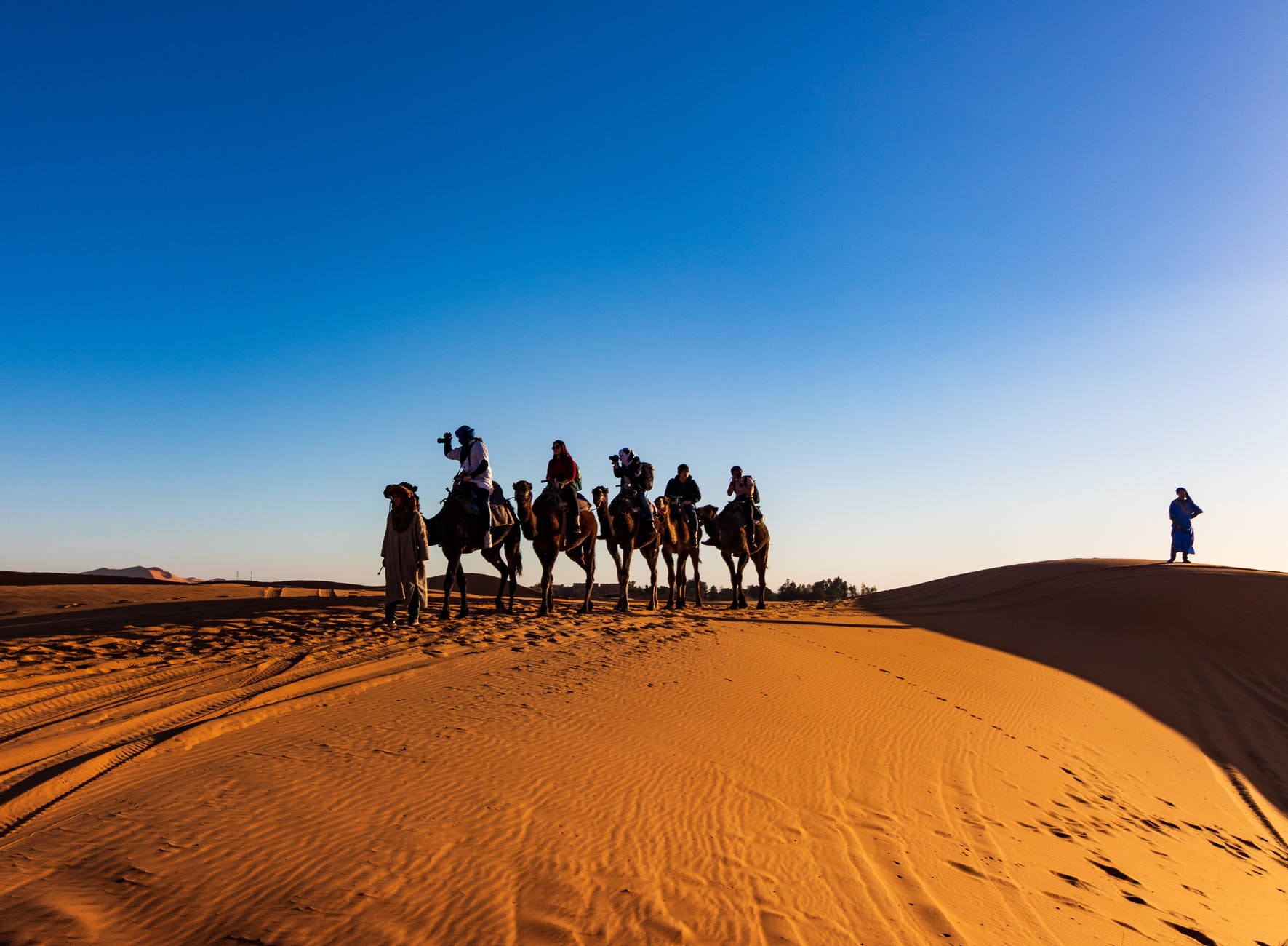 camel ride