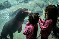 Thumbnail for Affordable Kid-Friendly Things To Do in Sharjah
