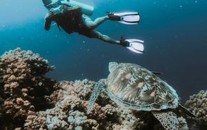 Thumbnail for Must-Have Gadget While Enjoying Underwater Sports in Sharjah